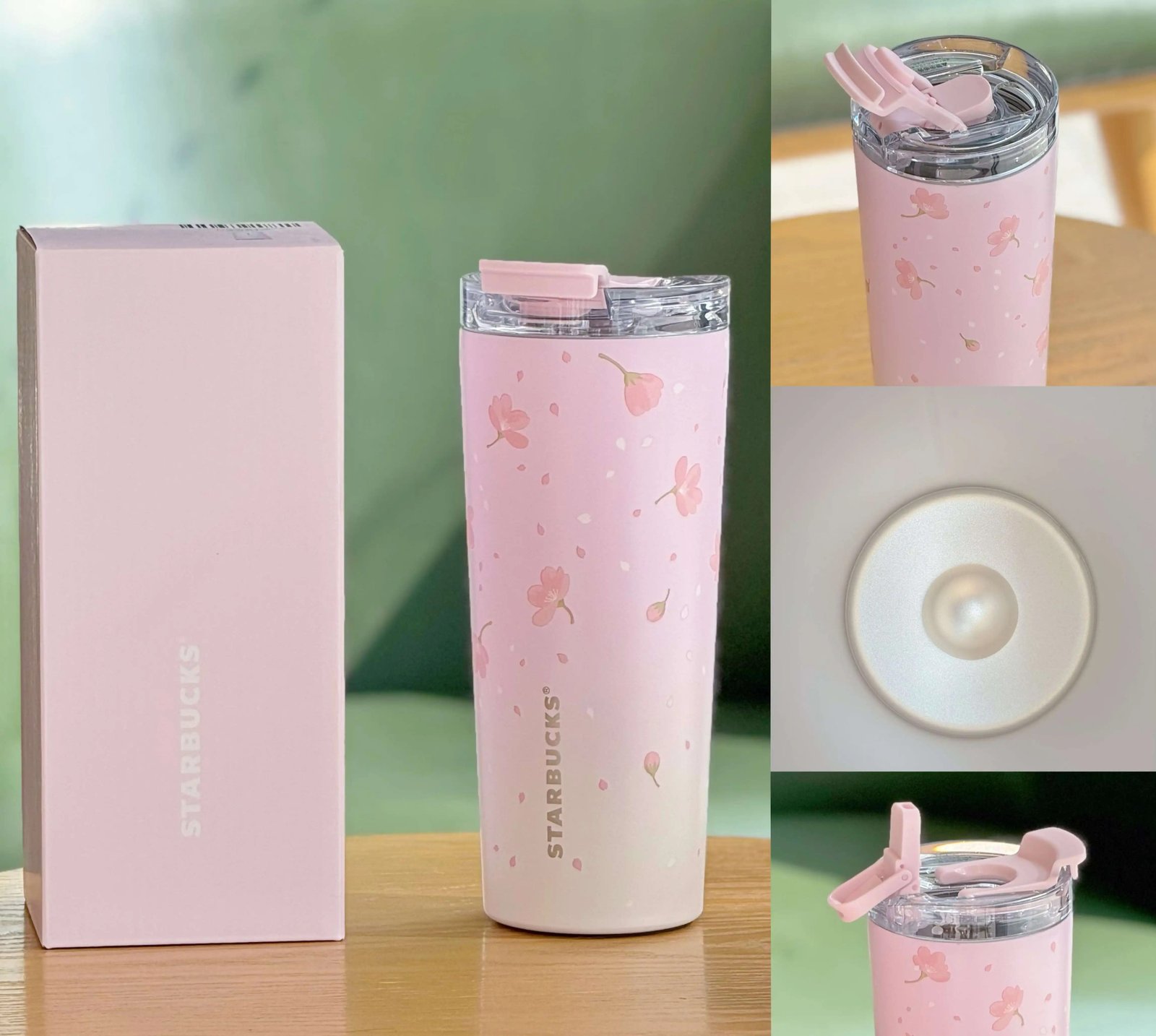 680ml Cherry Blossom Spring Bloom Stainless Steel Double Drinking Cup