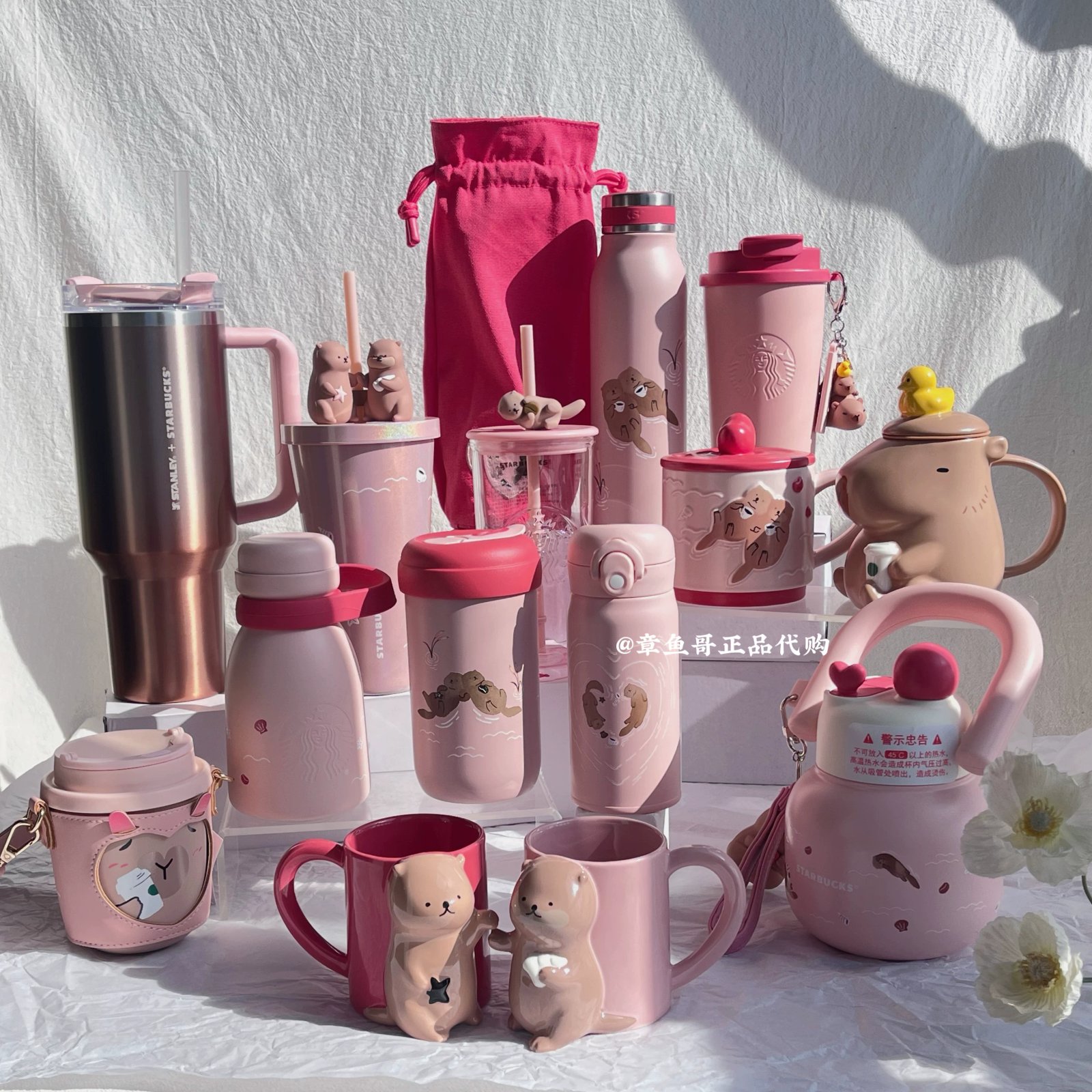Starbucks Mug Collection: CapiBra