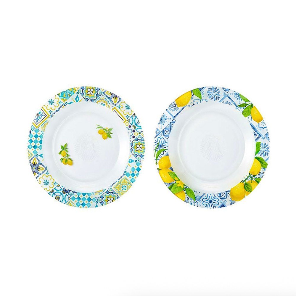 2P glass discs